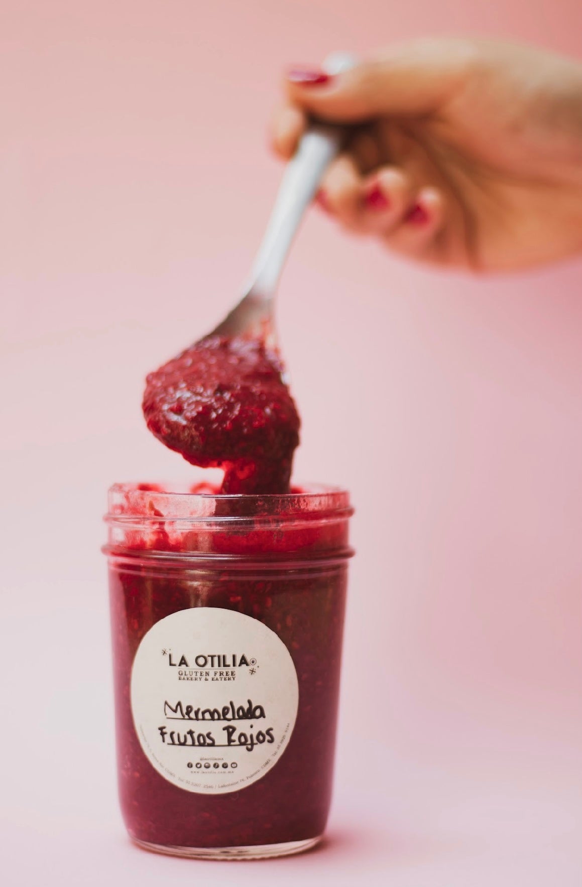 Mermelada Frutos Rojos
