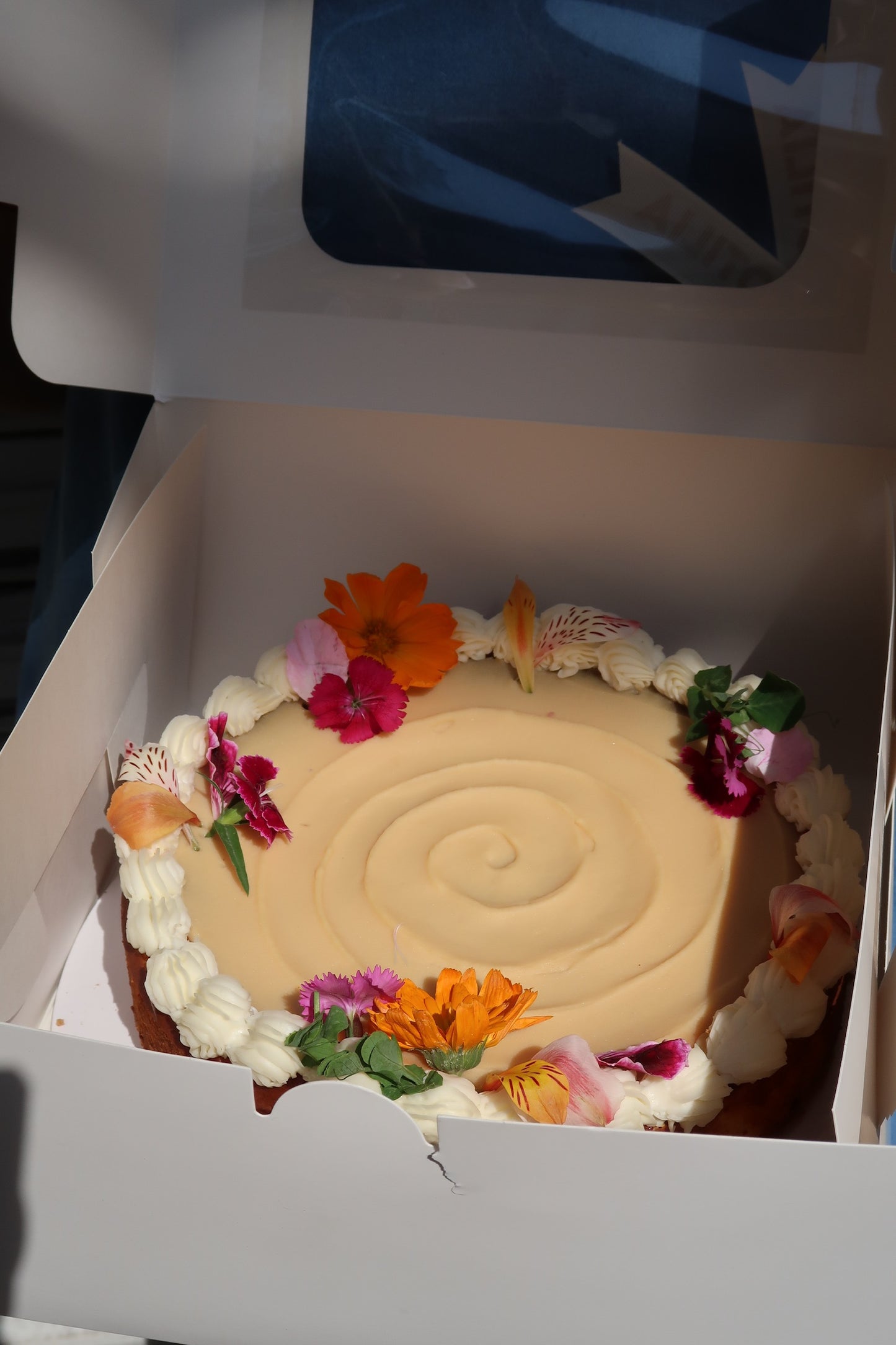 Cheesecake de Limón