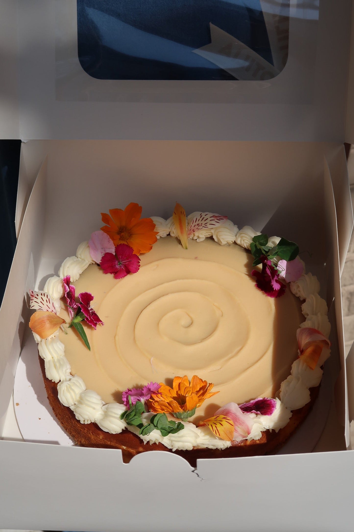 Cheesecake de Limón