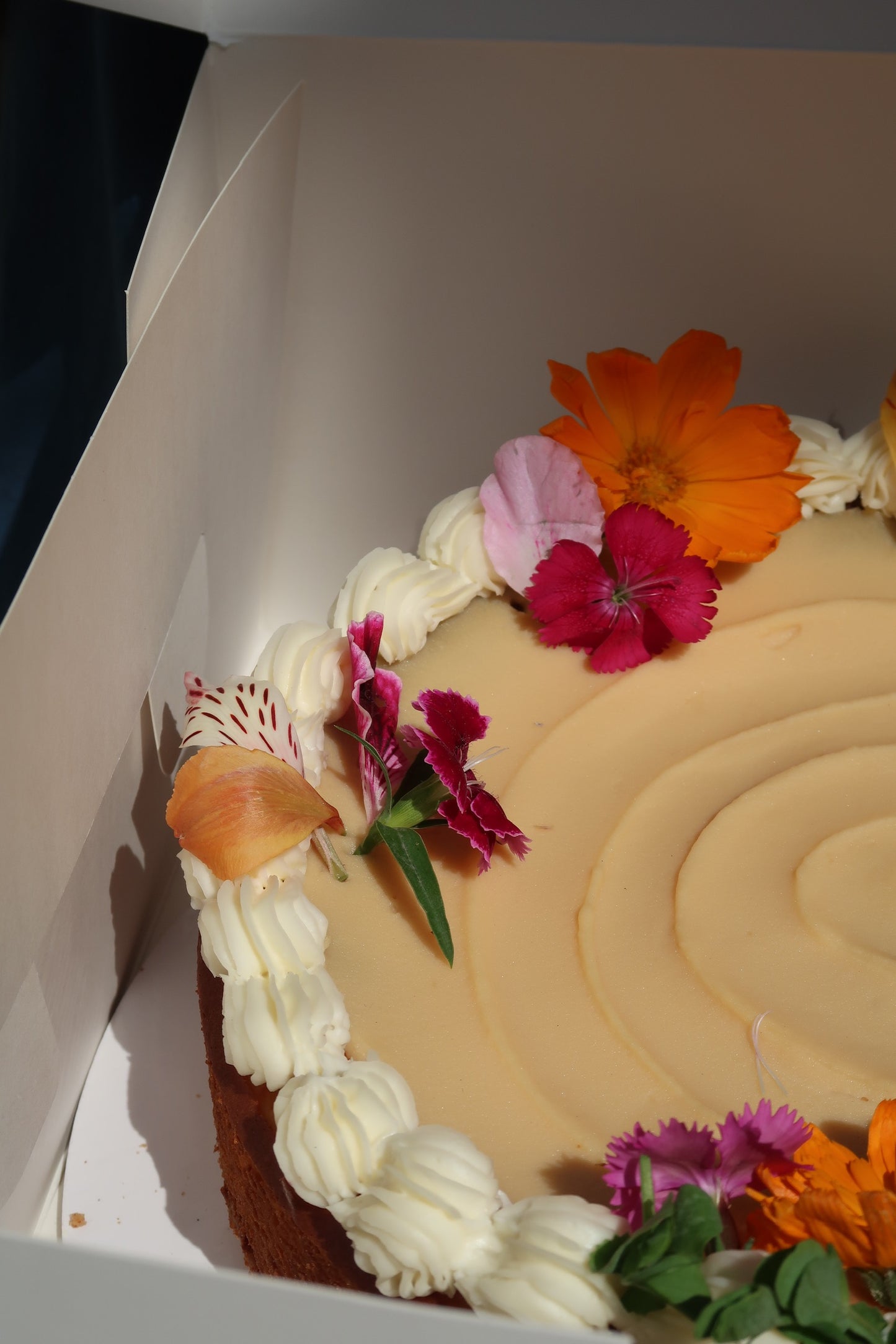 Cheesecake de Limón